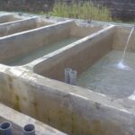 Fish Farming Fish Farming