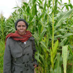 Woman in cornfield Crops